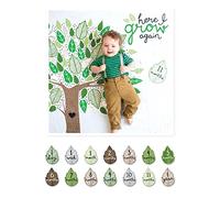 Wraps Baby l2-lj587 Kit First Year Deluxe, Blanket + 18 Cards, Here I Grow Again