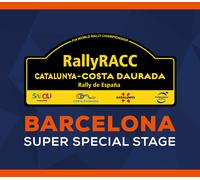 WRC 9 - Barcelona SSS DLC Steam CD Key