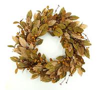 WreathDream 20'' Fall Wreath Autumn Wreath for Front Door with Brown Magnolia Leaves and Small Pomegranate Fruits for Home Outdoor Farmhouse Porch Wall Window Decoration,Brown Gift Box Included