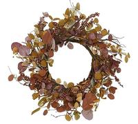 WreathDream 20 inch Artificial Fall Wreath Autumn Eucalyptus Wreath with Multicolor Eucalyptus Leaves,Berry,Dry Vine Branches for Front Door Indoor Outdoor Home Farmhouse Thanksgiving Decor
