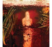 Wreck And Reference - Indifferent Rivers Romance End [VINYL]