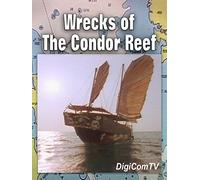 Wrecks of The Condor Reef