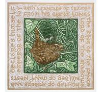 Wren bird themed greeting card, blank on the inside by Colin Blanchard. Brown fleck envelope included