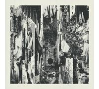 Wren - Black Rain Falls [VINYL]
