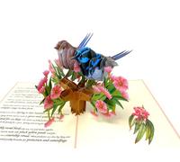 Wren Pop Up Card, Mothers Day Card, Fathers day Card, Anniversary Card, Retirement Card, Birthday Cards For Him and Her, Make Someone Smile