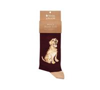 Wrendale Designs - Good as Gold' Labrador Men's Socks
