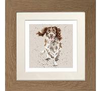 Wrendale Designs" A Dogs Life" Collection Framed Picture in Various Designs & Frame Colours (Oak"Skye" Spaniel)