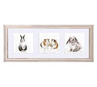 Wrendale Designs - A Trio of Rabbits and Guinea Pigs - Framed Print