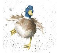 Wrendale Designs - 'A Waddle And A Quack' Card