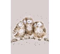 Wrendale Designs A6 Owl Notebook - Owlets