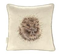 Wrendale Designs 40cm Awakening Hedgehog Square Cushion