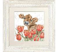 Wrendale Designs "Bessie" Highland Cow Framed Picture in Various Frame Colours (Distressed White)