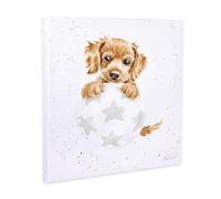 Wrendale Designs Bounces of Fun' Spaniel Small Canvas