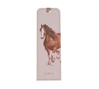 Wrendale Designs by Hannah Dale - Feathers Wildlife Illustration Bookmark - 50mm x 150mm