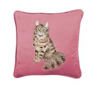 Wrendale Designs by Hannah Dale 'Feline Fabulous' Cat Embroidered Cushion