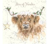 Wrendale Designs by Hannah Dale - Highland Star - Gold Foiled Christmas Card - Single