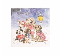 Wrendale Designs by Hannah Dale - O Holy Night - Christmas Card Box Set - Pack of 8