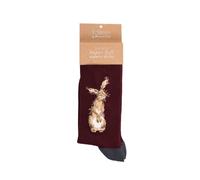 Wrendale Designs by Hannah Dale - 'The Hare' Men's Socks