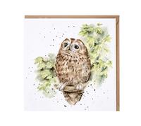 Wrendale Designs by Hannah Dale Treetops' owl card