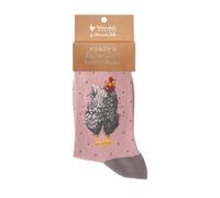 Wrendale Designs Curious Hen' Chicken Socks