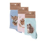 Wrendale Designs - 'Daisy Coo', Grinny Pig', Hedgehugs' - Socks Bundle