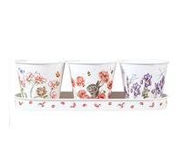 Wrendale Designs - 'Floral' Herb Pots and Tray