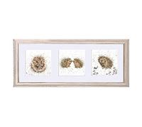 Wrendale Designs Framed Trio of Hedgehog Prints with Sage Frame - Adorable Triptych of Woodland Wildlife