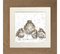 Wrendale Designs "Frazzled Owl and Chicks Framed Picture in Various Frame Colours (Oak)