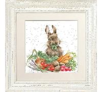 Wrendale Designs "Grow Your Own Rabbit Framed Picture - Various Frame Colours (Distressed White) (White)