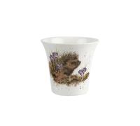 Wrendale Designs Hedgehog Flower/Herb Pot