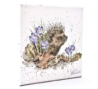 Wrendale Designs Hedgehog Print on White Square Canvas 20 Centimetre "New Beginnings"