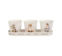 Wrendale Designs Herb Pots in 2 Designs Animals and Flowers Woodland or Floral