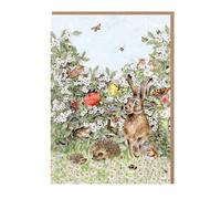 Wrendale Designs Hidden in the Hedgerow' Nature Notecard Pack