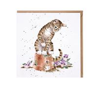 Wrendale Designs - Hide and Squeak' cat card