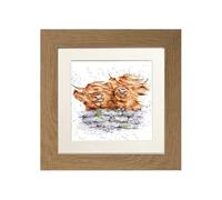 Wrendale Designs Highland Cow Framed Picture in Wood Frame Blown Away (Oak)