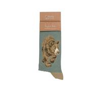 Wrendale Designs In My Footsteps' Bear Men's Sock