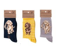 Wrendale Designs - 'In My Footsteps' Miniature Card