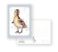 Wrendale Designs - 'Just Hatched' Postcard