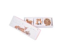 Wrendale Designs Little Forest Baby Socks Set - 0-6 Months