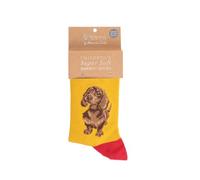 Wrendale Designs - ''Little One' dachshund Children's Socks Size 6-8 1/2