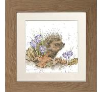 Wrendale Designs "New Beginnings Hedgehog Framed Picture (Oak)