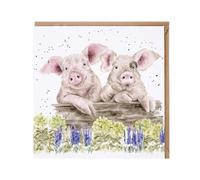 Wrendale Designs - Nosy Neigh-boars' pig card