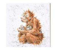 Wrendale Designs Orangutan Print on White Square Canvas 20 Centimetre Orangutangle