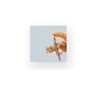 Wrendale Designs Pack of 20 Lunch Size 'The Acrobat' Squirrel Napkins