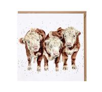 Wrendale Designs - 'Paddy, Percy and Pedro' cow card