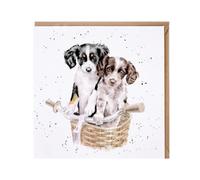 Wrendale Designs - Paws and Pedals' dog card