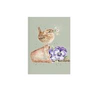 Pottering About' Wren A6 Notebook