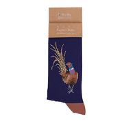 Wrendale Designs Men's Sock Ready for My Close Up Pheasant