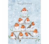 Wrendale Designs - 'Rockin Robins' Advent Calendar Card
