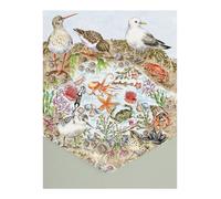 Wrendale Designs Secrets of the Sea' Nature Notecard Pack